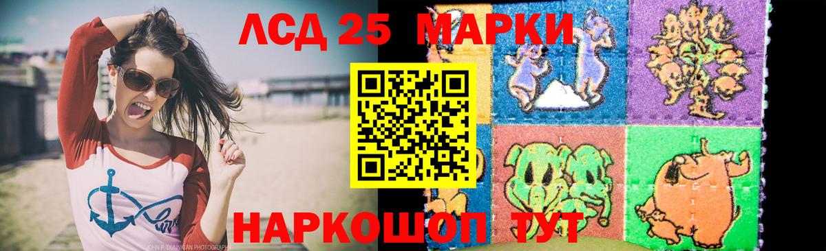 Лсд 25 экстази ecstasy  Вход с VPN  Светлоград  LSD-25 экстази ecstasy 