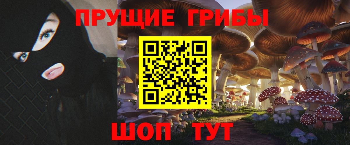Светлоград  Галлюциногенные грибы Psilocybe  Псилоцибиновые грибы Psilocybine cubensis  Вход с VPN 